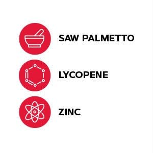 GNC Men's Saw Palmetto Formula, 120 Tablets, Supports Normal Prostate Function - Image 3