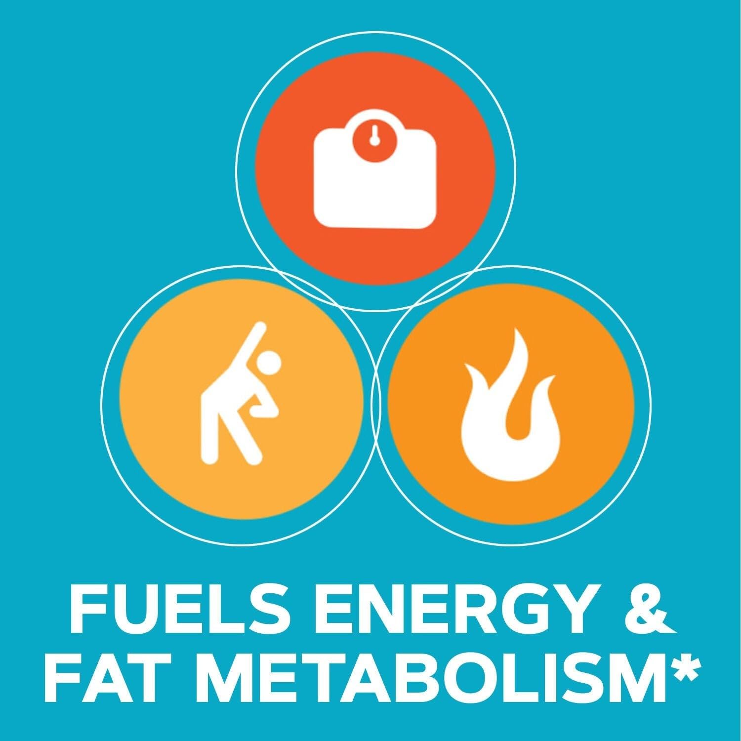 GNC Total Lean Premium CLA 3-6-9 | Improves Body Composition & Muscle Tone, Fuels Energy Without Stimulants, Supports Cardiovascular & Joint Health | 120 Softgel Capsules - Image 6