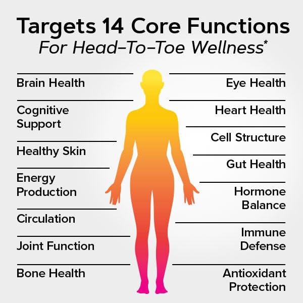 GNC Whole Body Vitapak Program, Ultra Premium, Proven Multivitamin Blend, 7 in 1 Formula, 30 Servings - Image 7